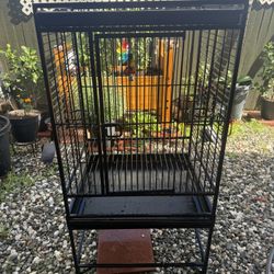 Bird Cage