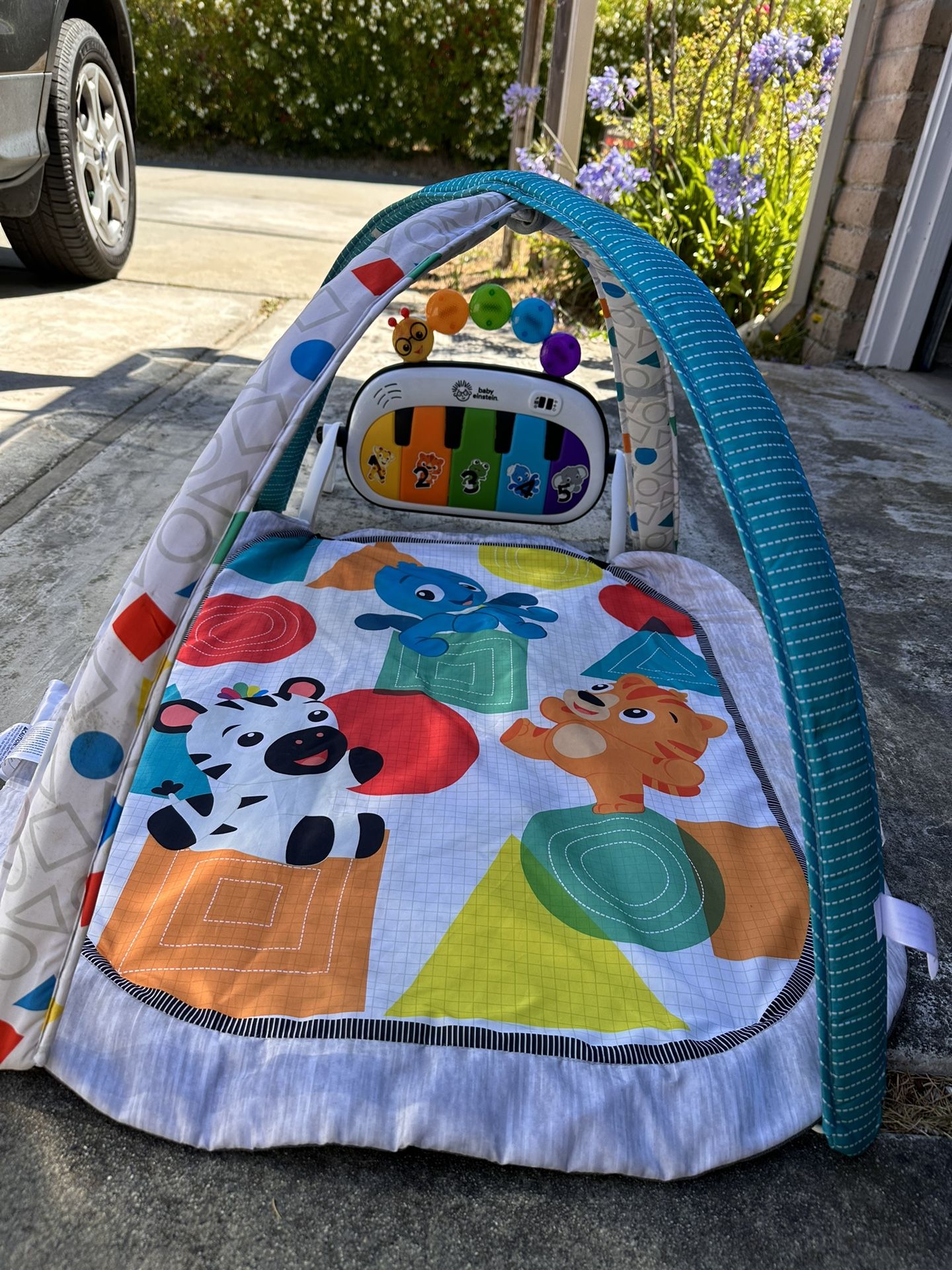 Baby Einstein 4-in-1 Play Mat