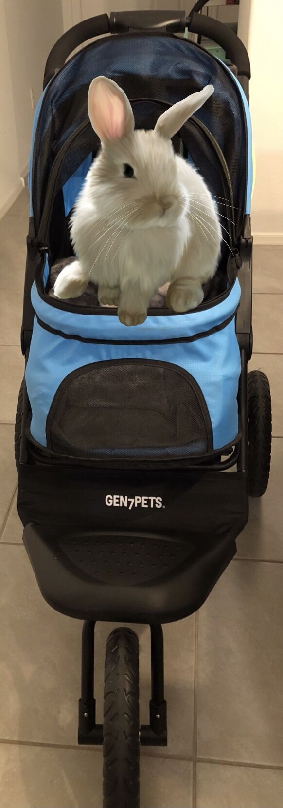 Gen7pets Jogger Dog Stroller