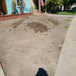 Free Dirt