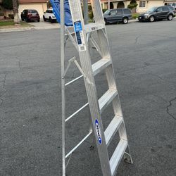 6ft Ladder 