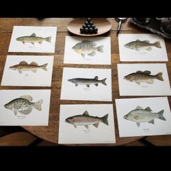 SCARCE 60 Yr Old 9 Vintage Heddon Famous Collections Color Fish Prints
