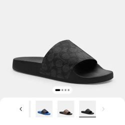 COACH Slides 