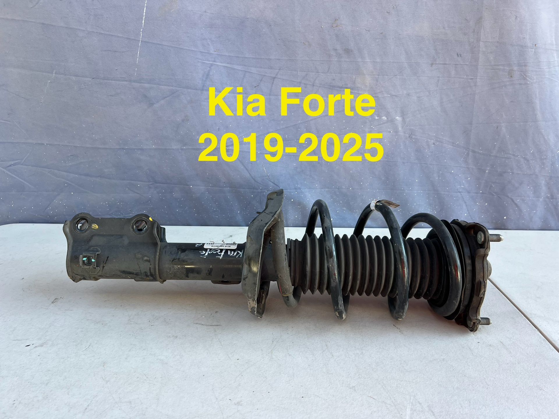 2019-2025 Kia Forte Strut OEM 