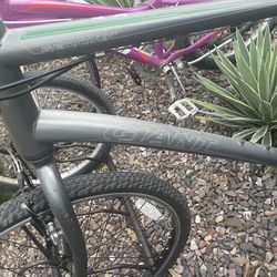 Giant Sedona Mountain Bike Bicycle 