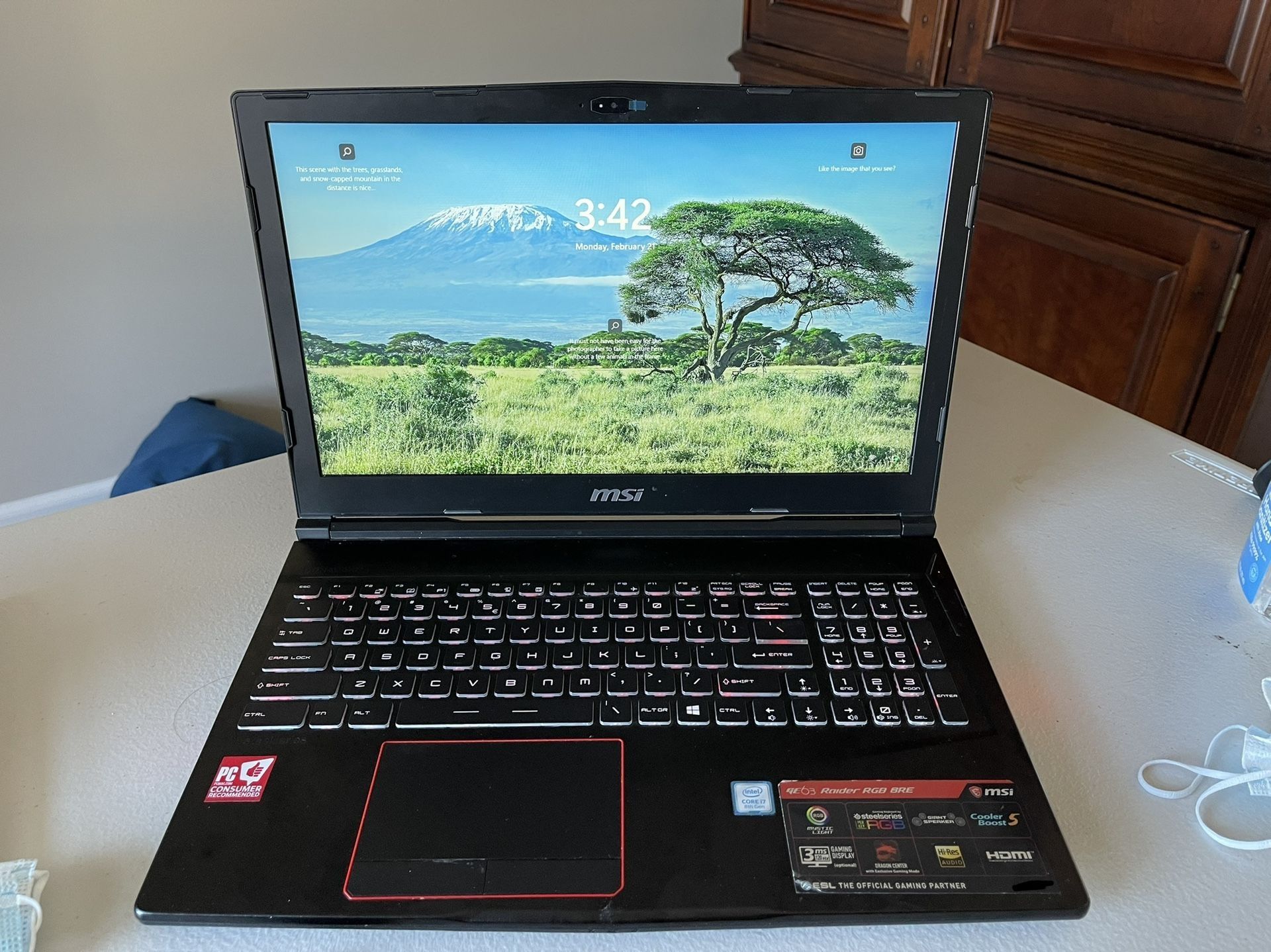 MSI GE63 Raider RGB 8RE Gaming Laptop GTX 1060