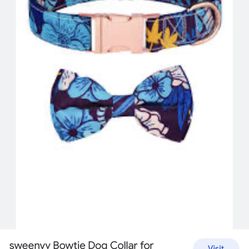 Medium Dog Collar With Bow