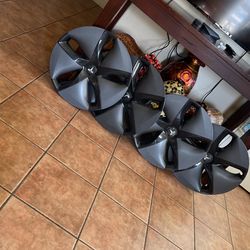 Tesla Hubcaps