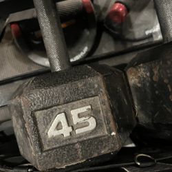 45 Lb Dumbbell  - Pair