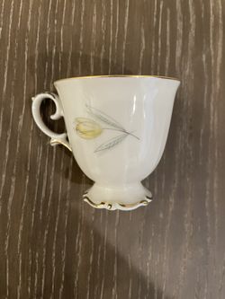 Vintage 1900s PT Bavaria Germany Tirschenreuth China Coffee Set 