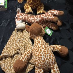 Stuffed Animals Giraffes 
