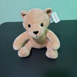 DolliBu stuffed Bear