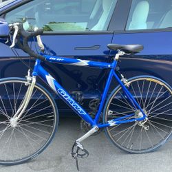 Giant Road Bike