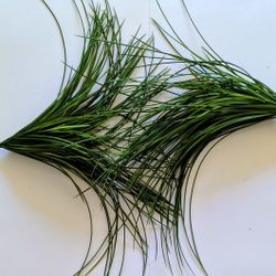 Artificial Plants Bundle Of Two 