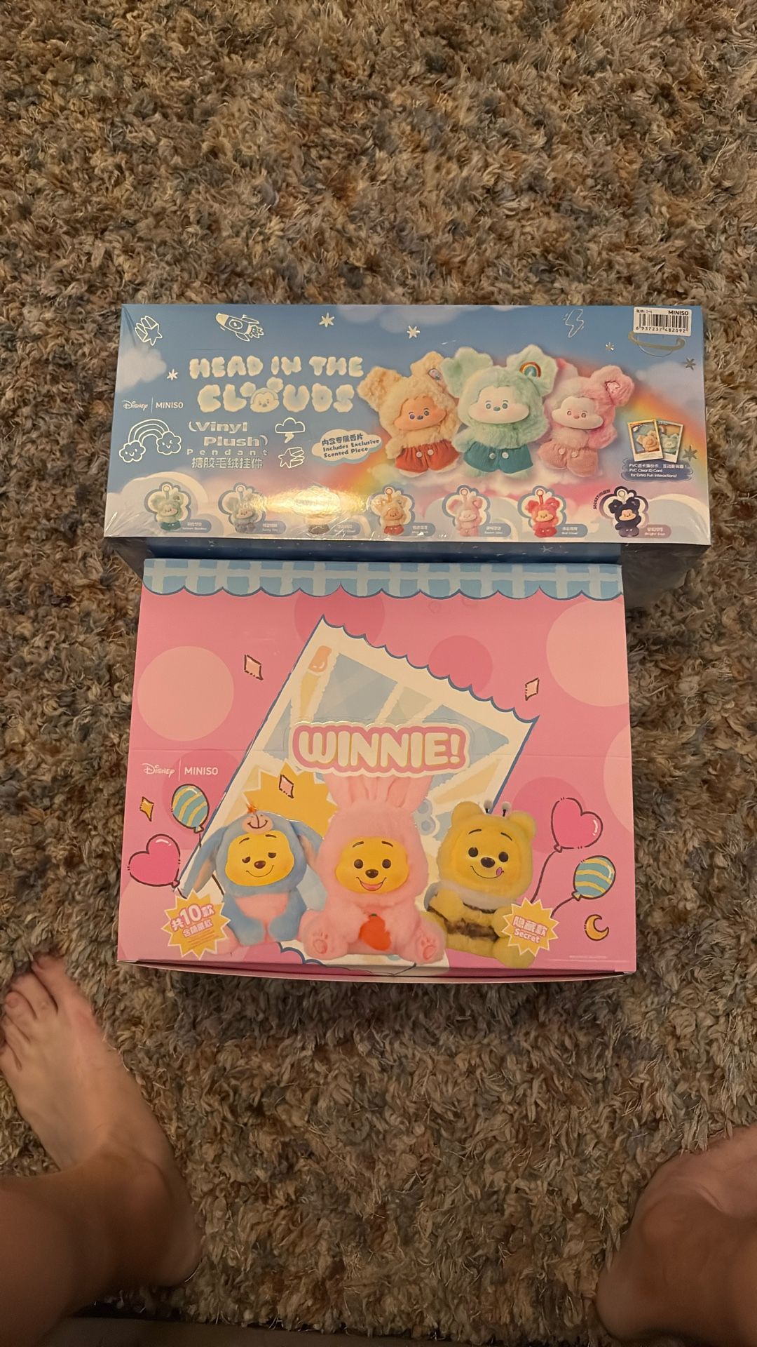 Head In The Clouds And Winnin (labubu)