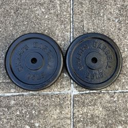 25lb Standard 1” weight plates weights plate 25 lb lbs 25lbs 50lbs total for Barbell bar Champs brand