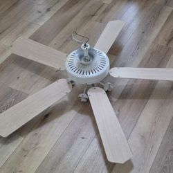 Ceiling Fan
