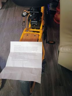 Private and discreet bicycle messenger for hire