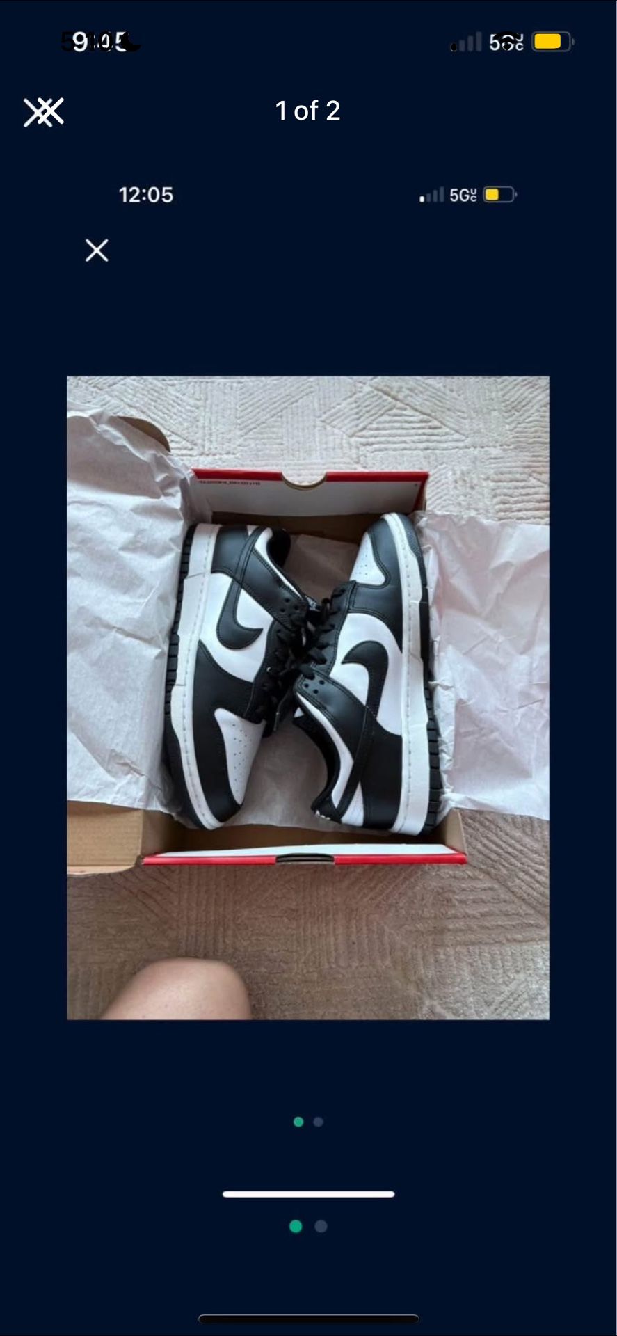 Size 10 Nike Dunks