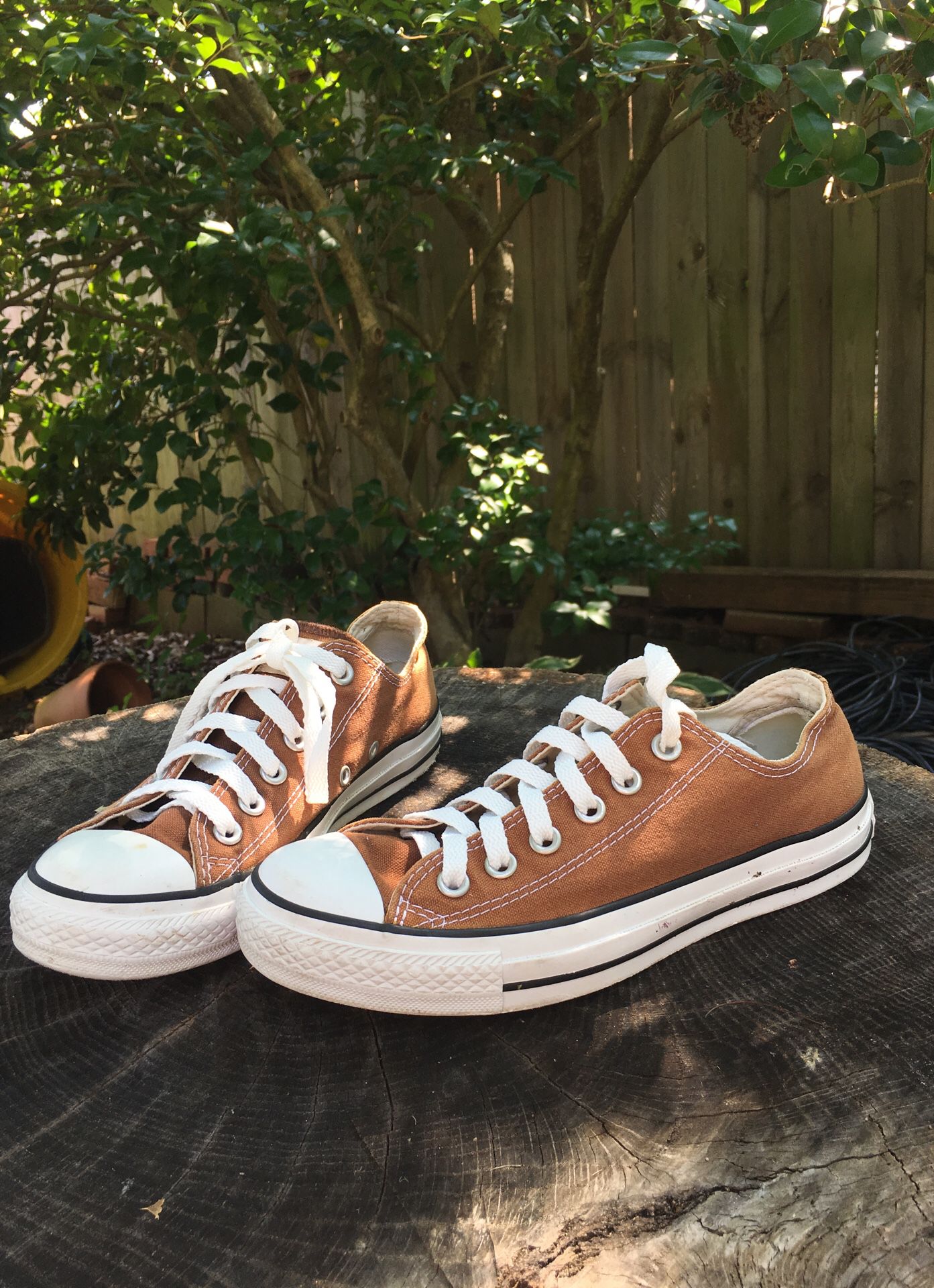 Brown low top converse all stars
