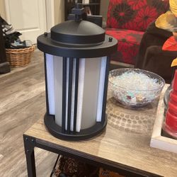 2 Black Coach Lites