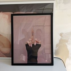 Flip off picture and frame