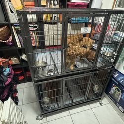 Jaula Para Goldendoodle Mini 