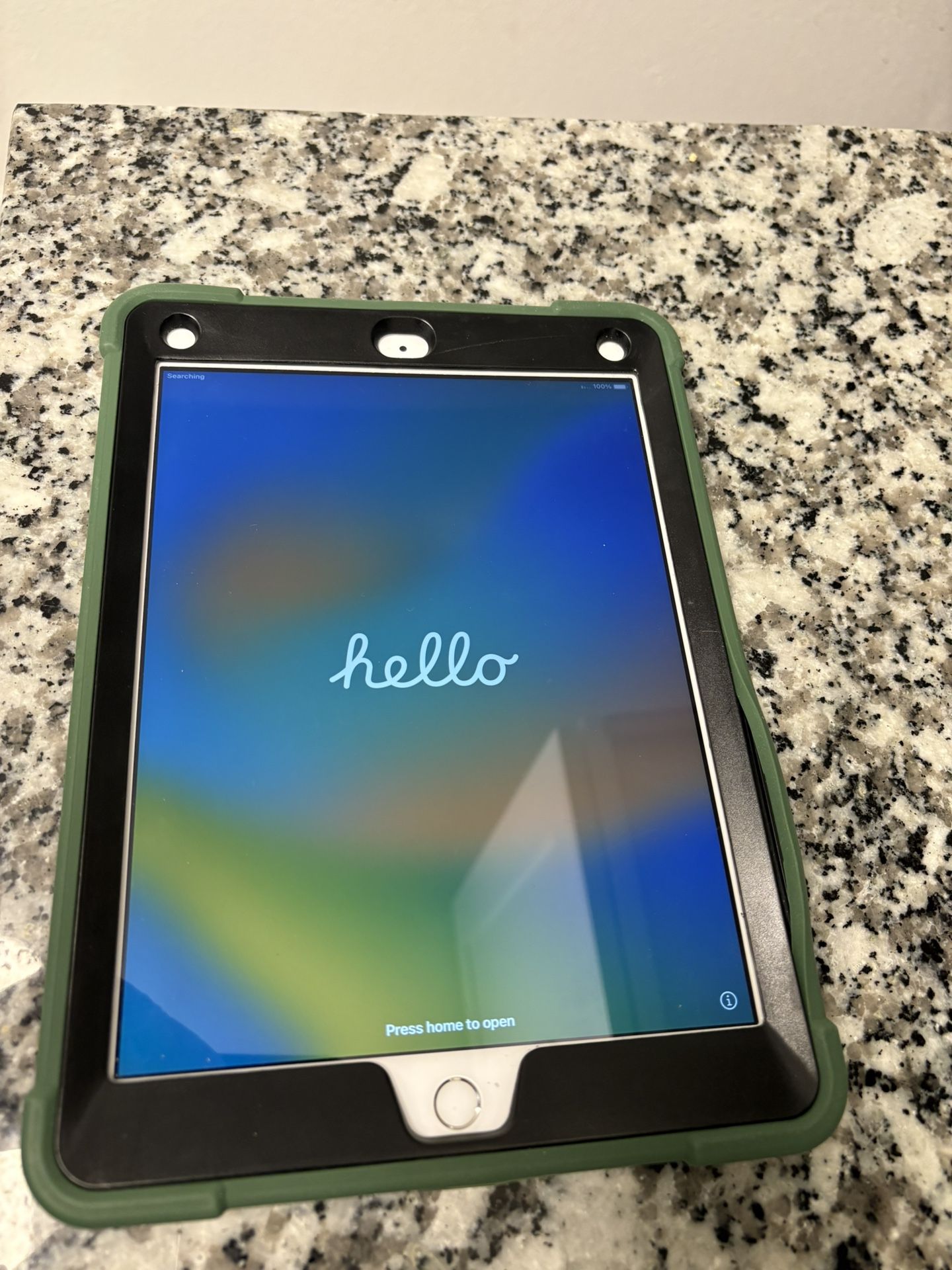 iPad 5th Generation (WiFi + Cellular) 