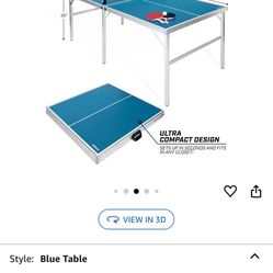 Ping Pong Table