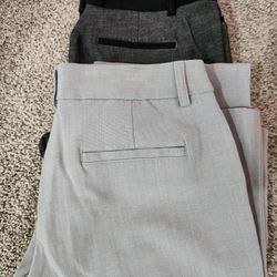 Express Dress Pants 
