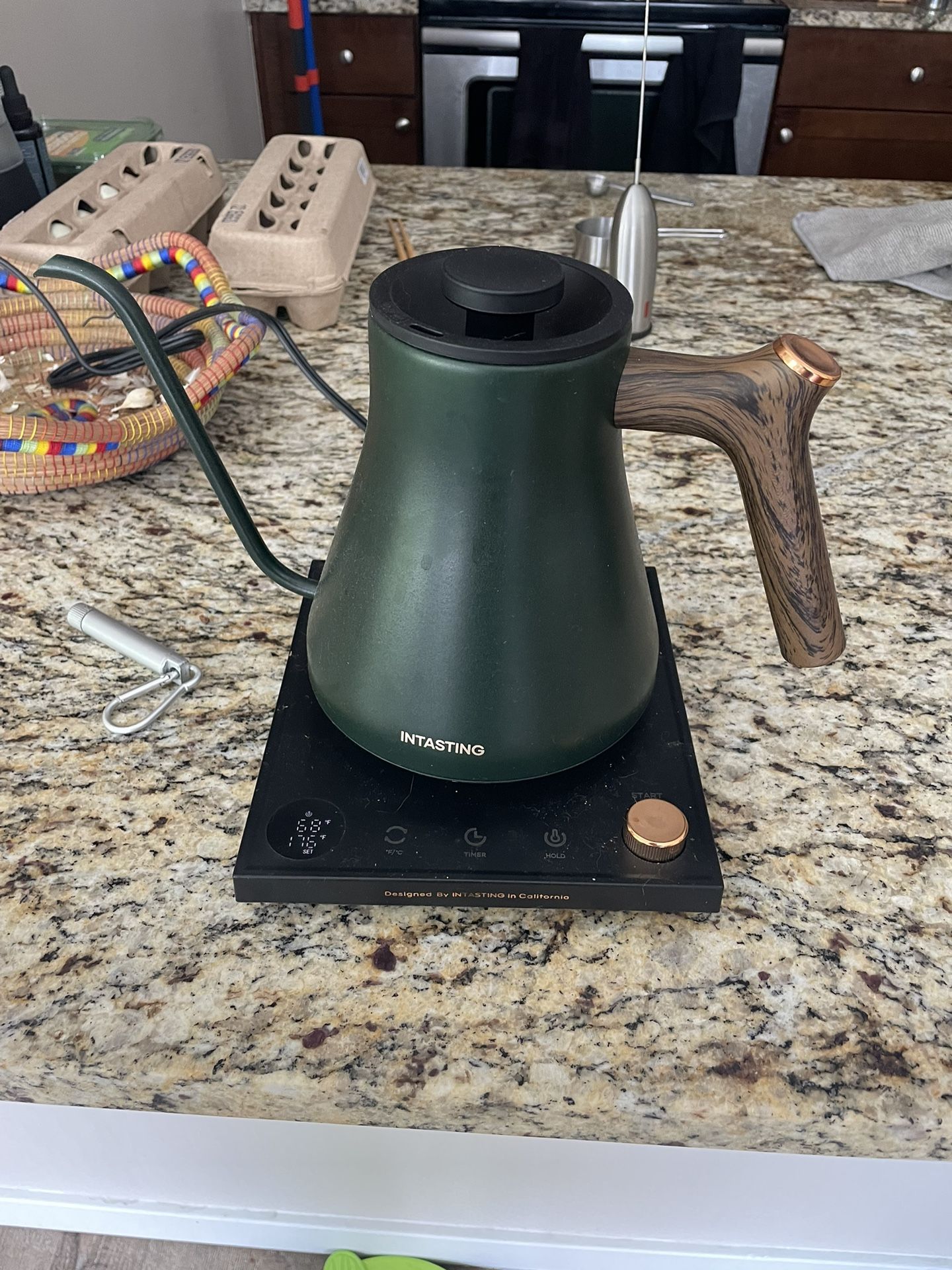 Intasting Gooseneck Electric Kettle