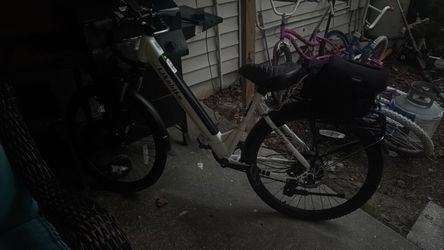 Electric bike
