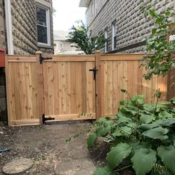 Cedar Fence
