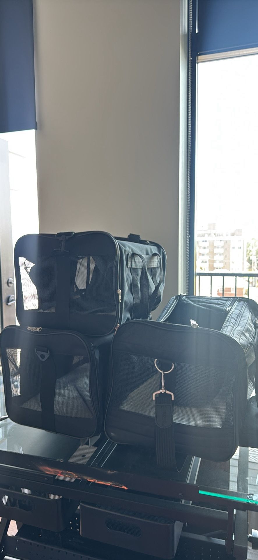 Dog Carriers ($20 Each)