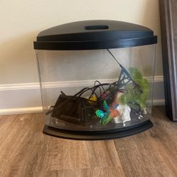 Aqueon 5 Gallon Fish Tank Starter Kit