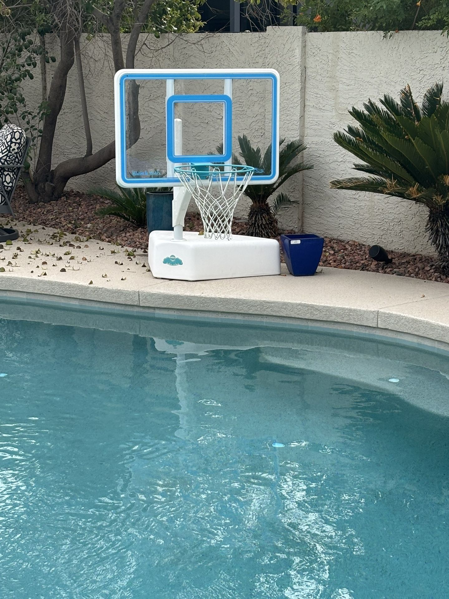 Pool Basketball Hoop and Ball