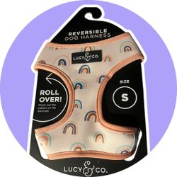 Dog harnesses And Dog Raincoats