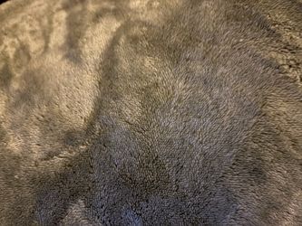 Sage color blanket