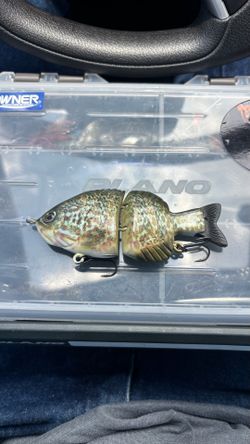 Gracely Gill finesse glidebait