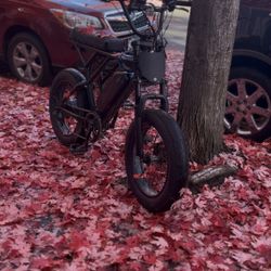 2025 Fifth Wheel E-bike 