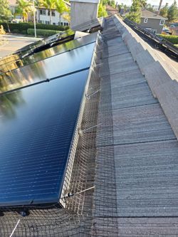 Solar panels birds proofing