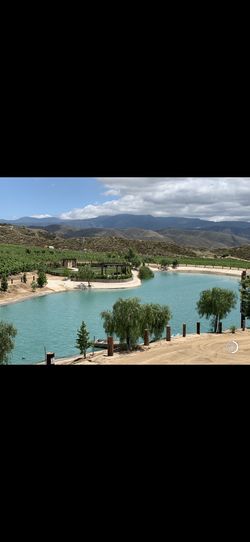 Ponds /koi ponds