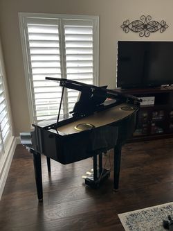 Williams Digital Piano -$1,000