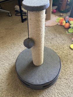 Cat Things