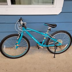 Kids Bike Raleigh Lily 24 In