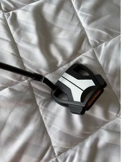 Taylormade spider tour x
