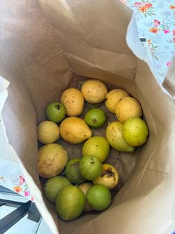 Fresh Guavas – guayabas