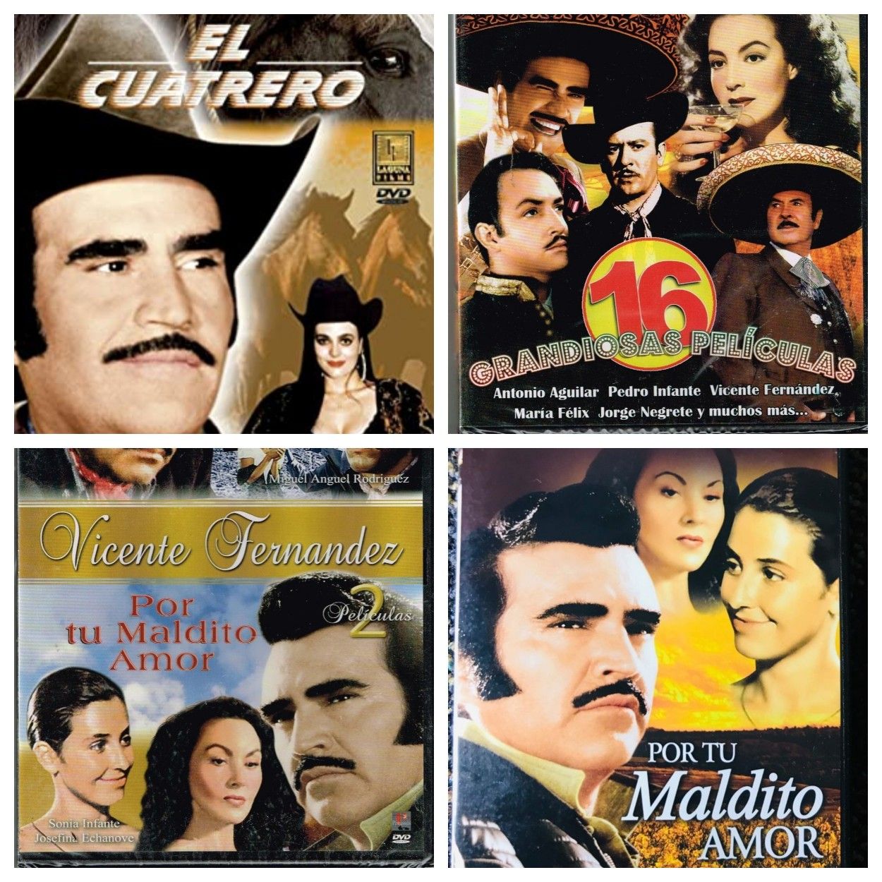 COLECCION DE VICENTE FERNÁNDEZ