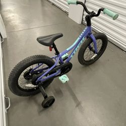 Trek Precaliber 16 RARE COLORWAY with Training Wheels Teal Blue Purple Black Boys Girls Kids Child Bike Bicycle