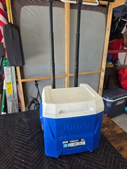 Igloo cooler - 16 qt / 24 cans - Used